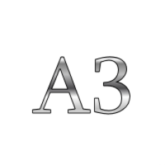 A3
